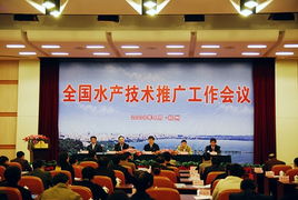 貴州農(nóng)業(yè)科技信息網(wǎng) 科技賦能農(nóng)業(yè)，技術(shù)推廣助力鄉(xiāng)村振興